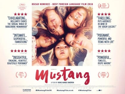 Mustang Poster thumb