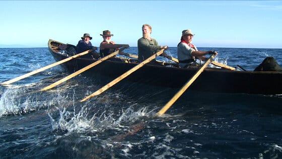 The Camino Voyage thumb